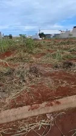Terreno à venda no bairro Novo Mundo em Uberlândia/MG