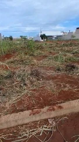 Terreno à venda no bairro Novo Mundo em Uberlândia/MG