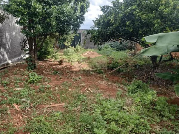 Terreno à venda no bairro Pampulha em Uberlândia/MG
