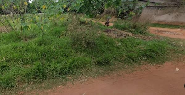 Terreno à venda no bairro Morada Nova em Uberlândia/MG