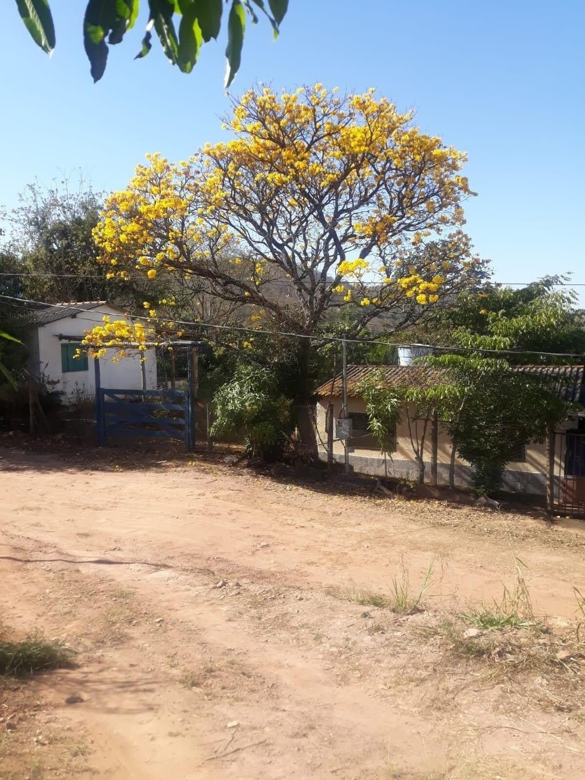 Casa à venda no bairro Morumbi em Uberlândia/MG