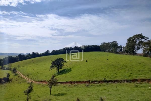 Sítio à venda no bairro Zona Rural em Poços de Caldas/MG