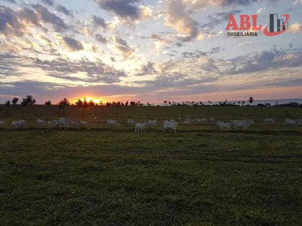 Fazenda/Sítios/Chácaras em Rosana - Centro