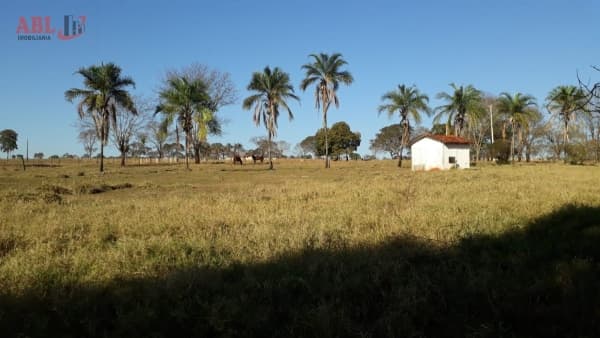 Fazenda para Venda em Paranaíba Ituiutaba-MG