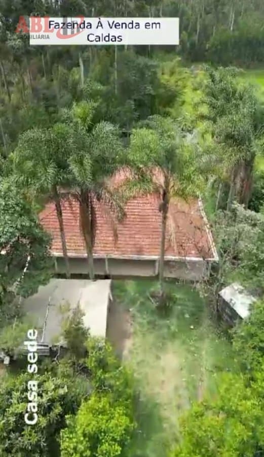 Fazenda Lavoura para Venda em Centro Caldas-MG