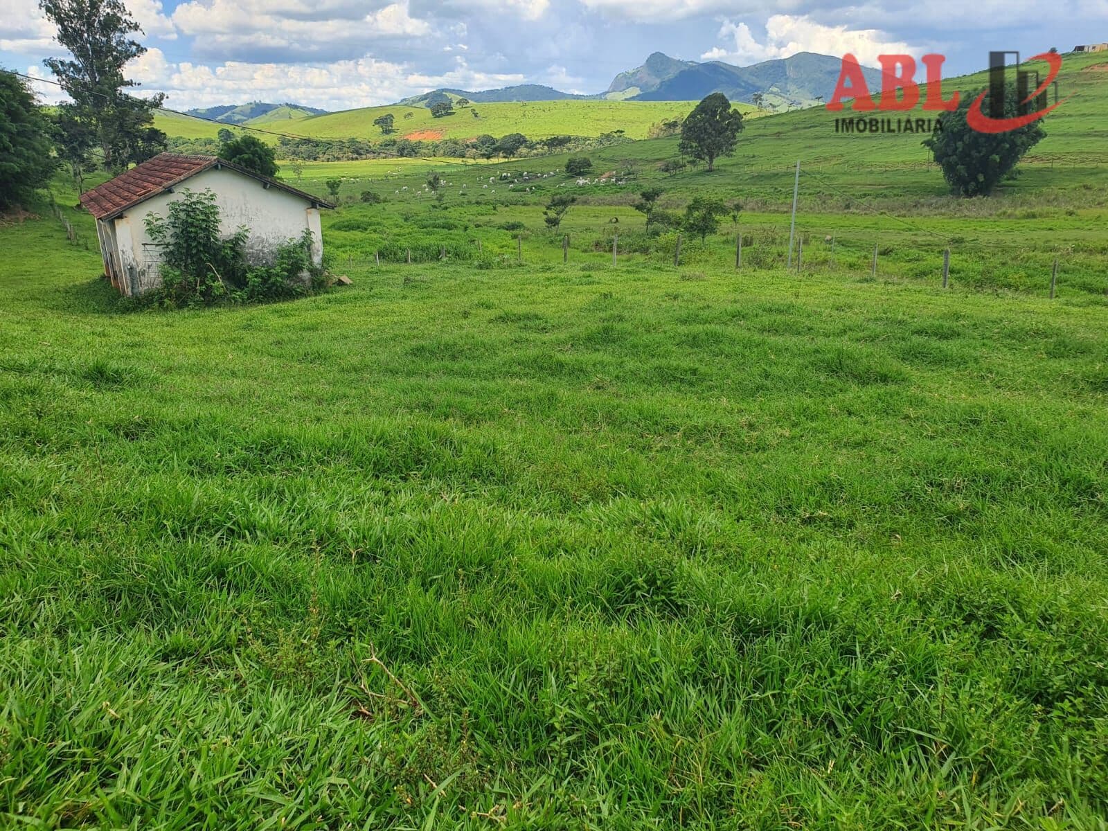 Fazenda/Sítios/Chácaras em Itajubá - Centro