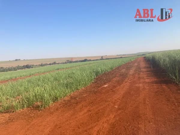 Fazenda/Sítios/Chácaras em Planura - Centro