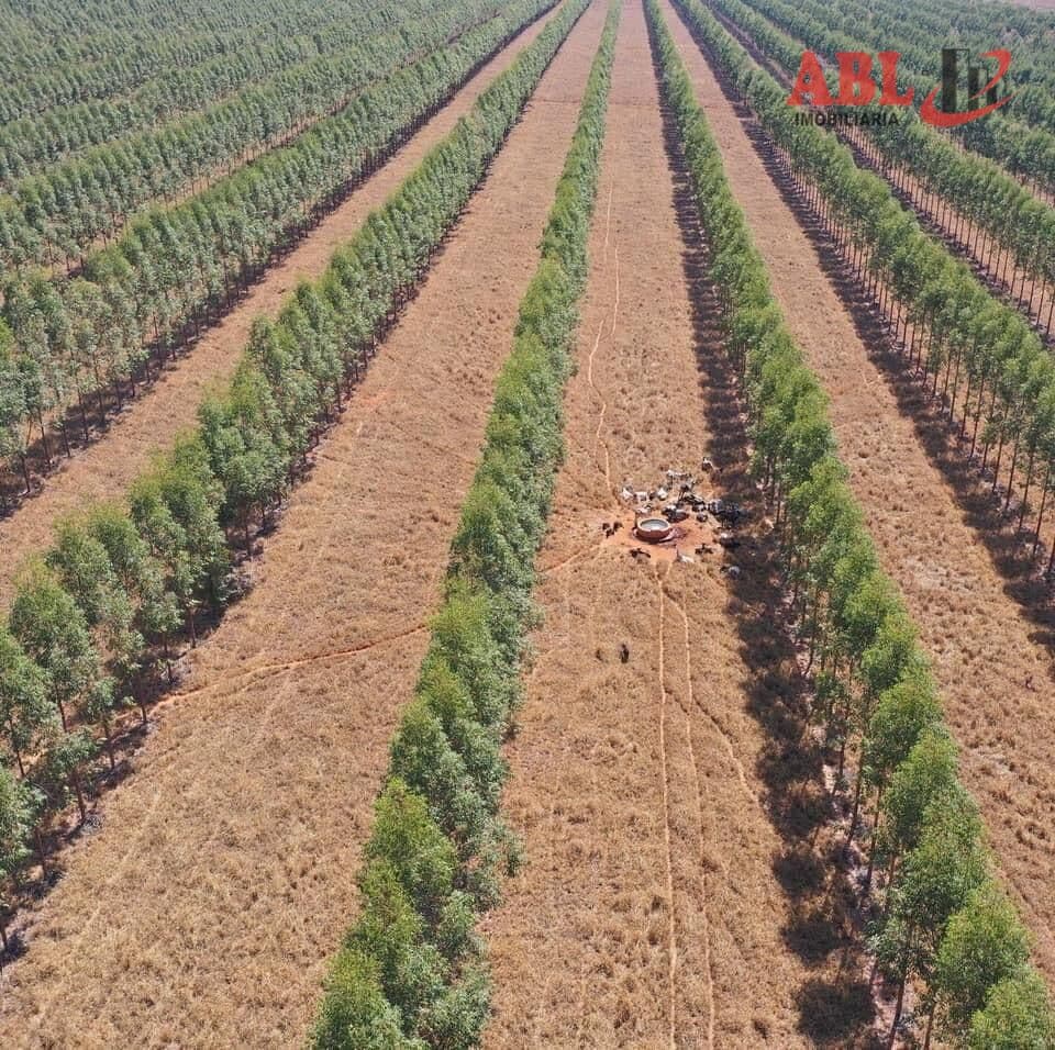 Fazenda/Sítios/Chácaras em Curvelo - Centro