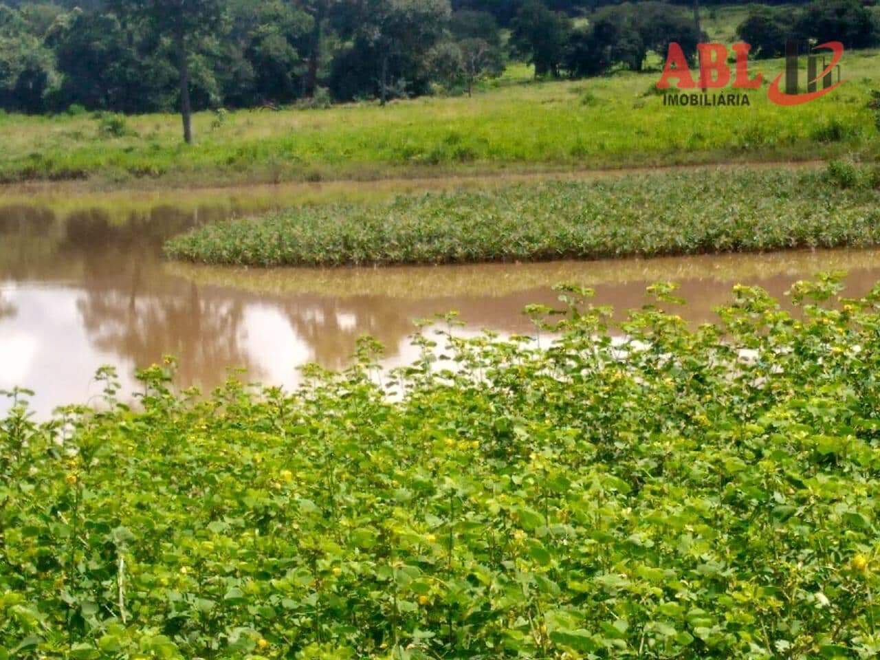 Fazenda/Sítios/Chácaras em Paracatu - Centro