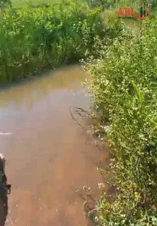 Fazenda/Sítios/Chácaras em Itapagipe - Centro