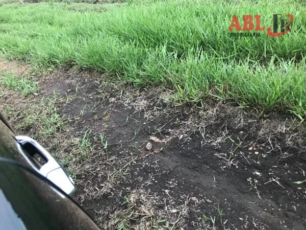 Fazenda/Sítios/Chácaras em Canarana - Centro