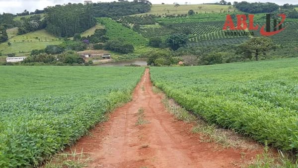 Fazenda/Sítios/Chácaras em Careaçu - Centro