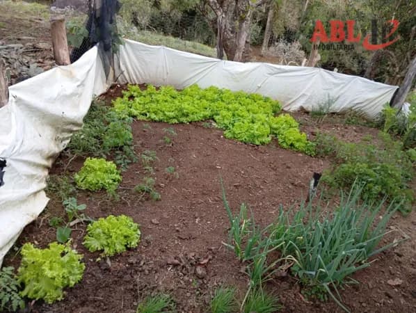 Fazenda/Sítios/Chácaras em Bueno Brandão - Centro