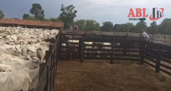Fazenda/Sítios/Chácaras em Monte Alegre de Goiás - Centro