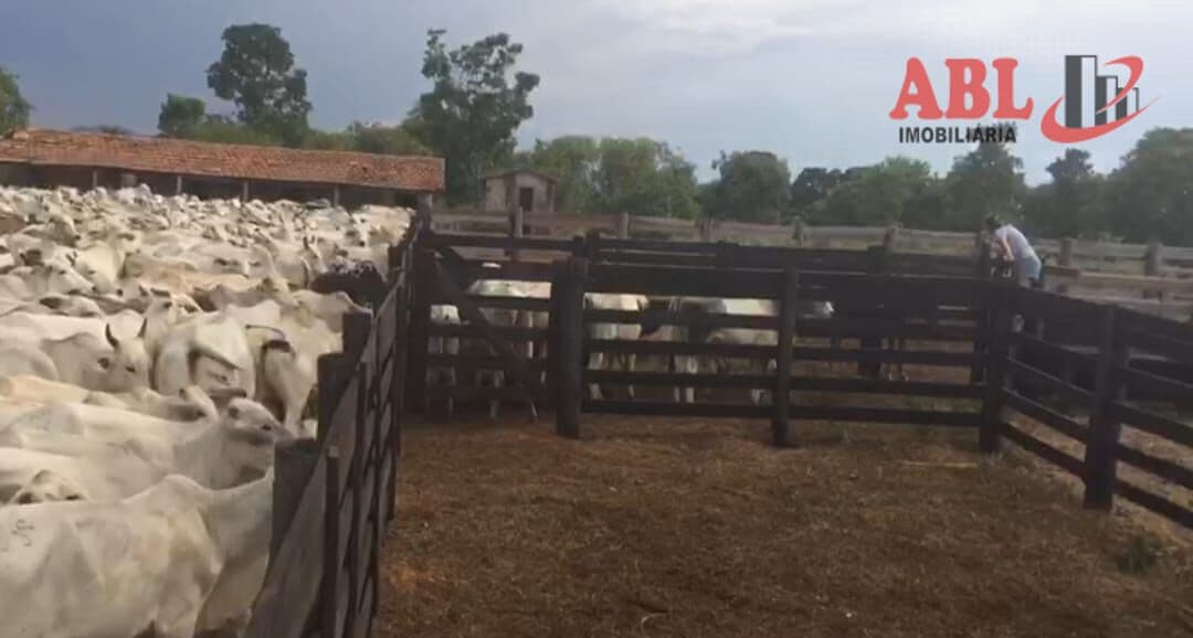 Fazenda/Sítios/Chácaras em Monte Alegre de Goiás - Centro