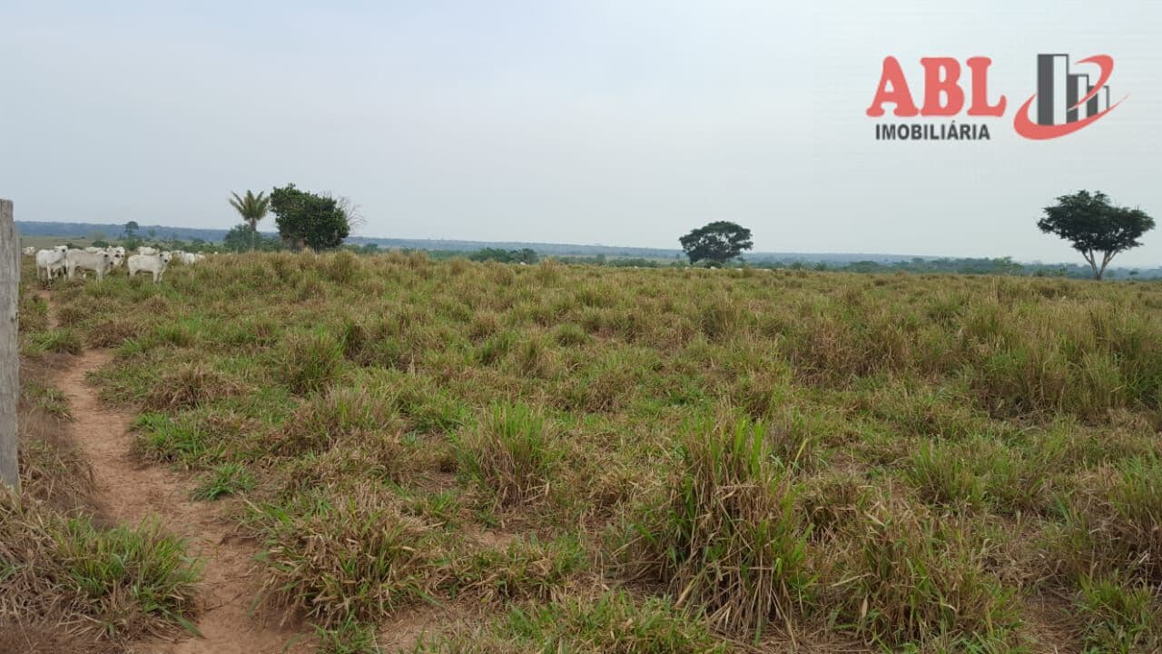 Fazenda/Sítios/Chácaras em Juína - Centro