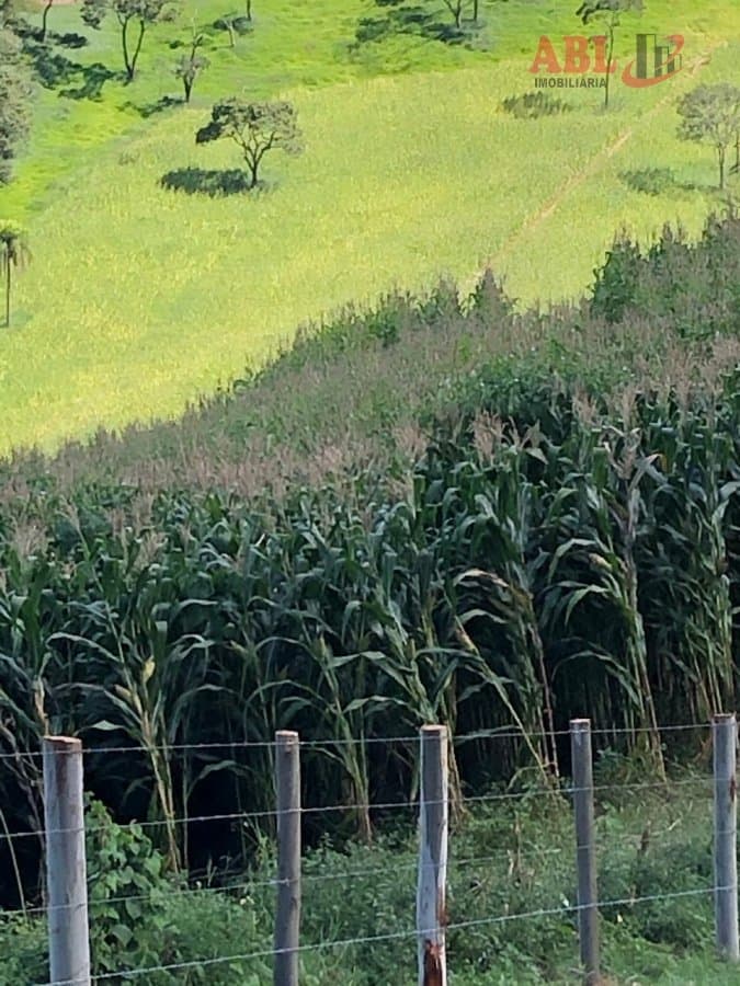 Fazenda para Venda em Centro Taubaté-SP