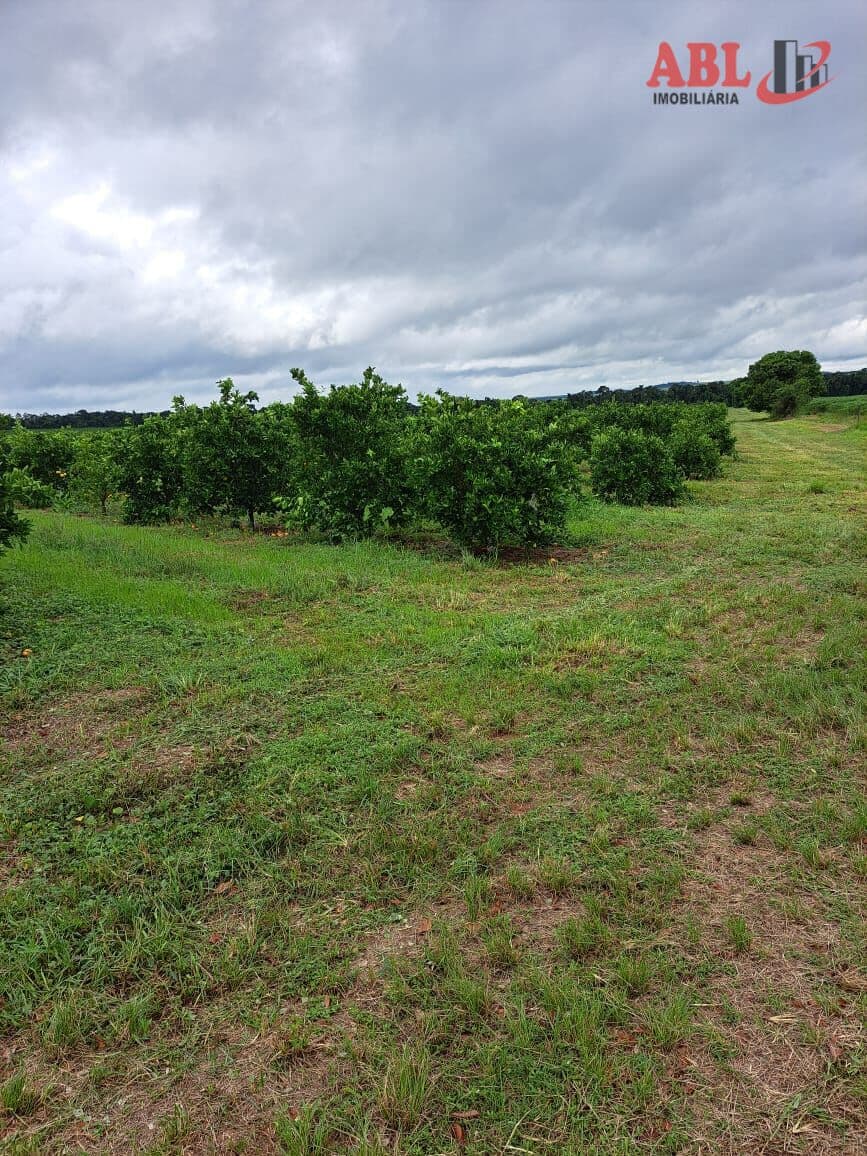 Fazenda Lavoura de Laranja