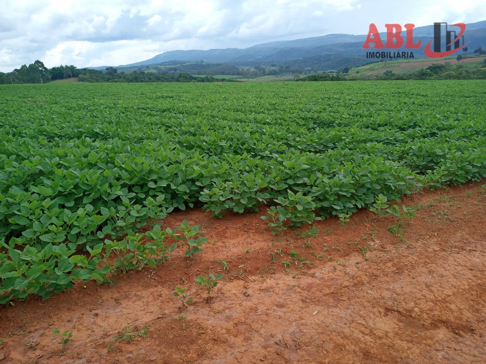Fazenda/Sítios/Chácaras em Manduri - Centro