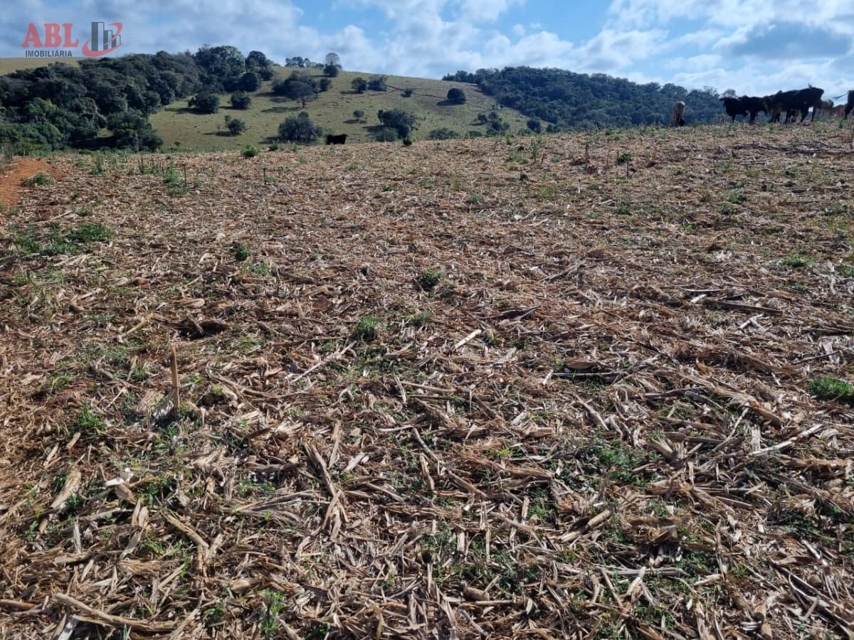 Fazenda Lavoura para Venda em Centro Cachoeira de Minas-MG