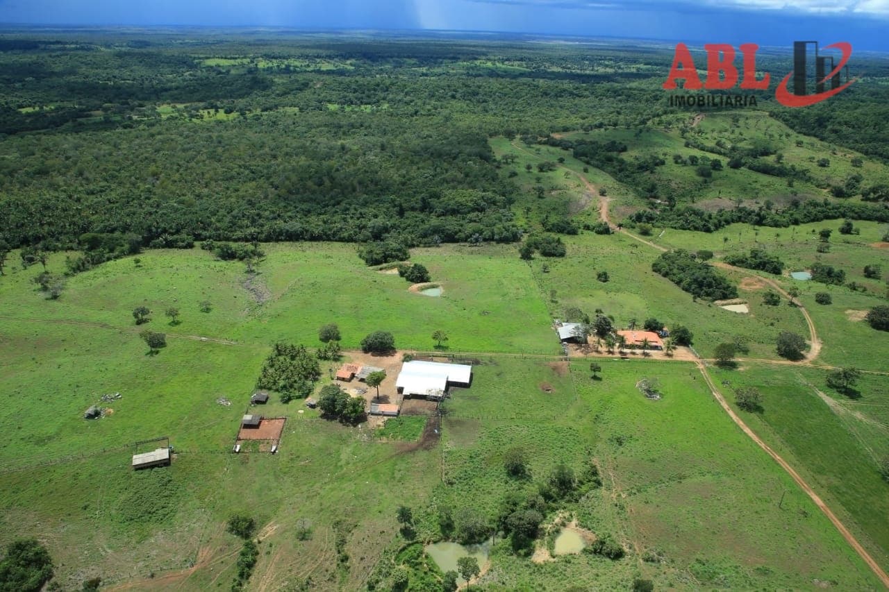 Fazenda Dupla Aptidão à 130 km de Palmas-TO