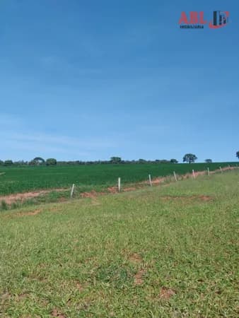 Fazenda/Sítios/Chácaras em Monte Alegre de Minas - Centro