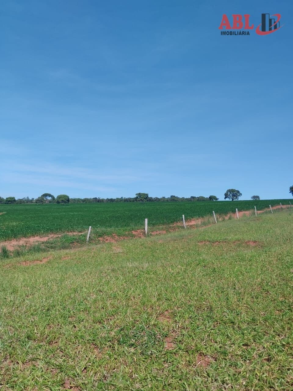 Fazenda/Sítios/Chácaras em Monte Alegre de Minas - Centro