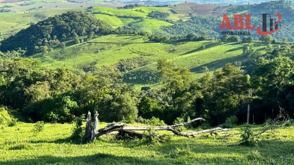 Fazenda Pecuária à 4 km do asfalto