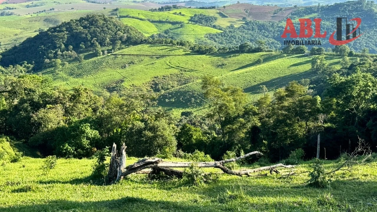 Fazenda Pecuária à 4 km do asfalto