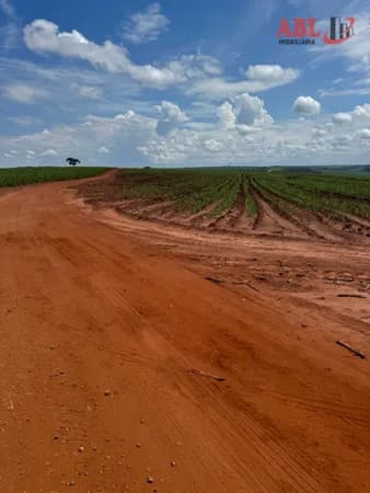Fazenda/Sítios/Chácaras em Araraquara - Centro