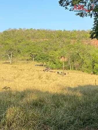 Fazenda/Sítios/Chácaras em Campina Verde - Centro