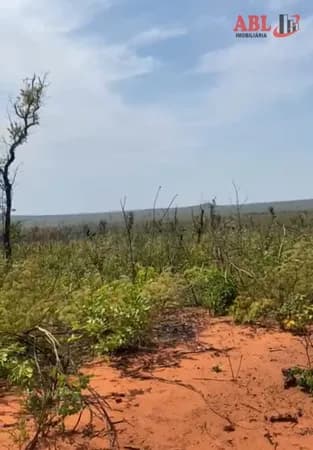 Fazenda/Sítios/Chácaras em Chapada Gaúcha - Centro
