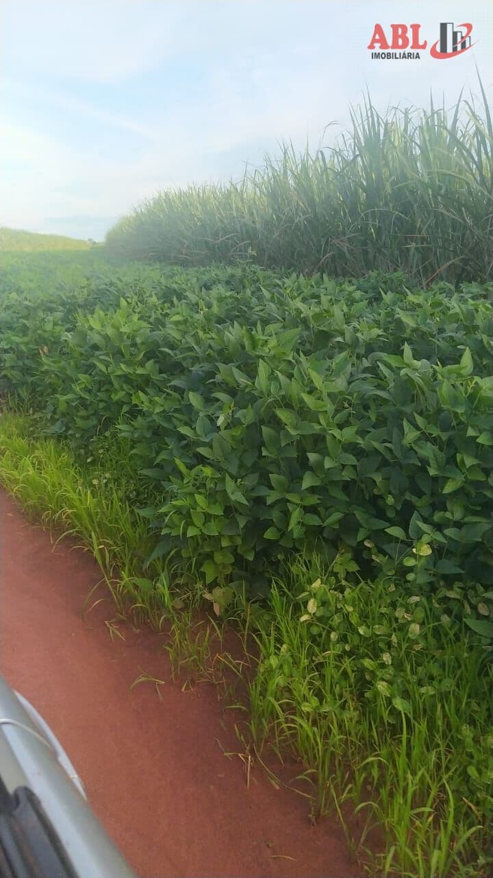 Fazenda/Sítios/Chácaras em Carneirinho - Centro