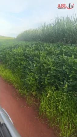 Fazenda/Sítios/Chácaras em Carneirinho - Centro