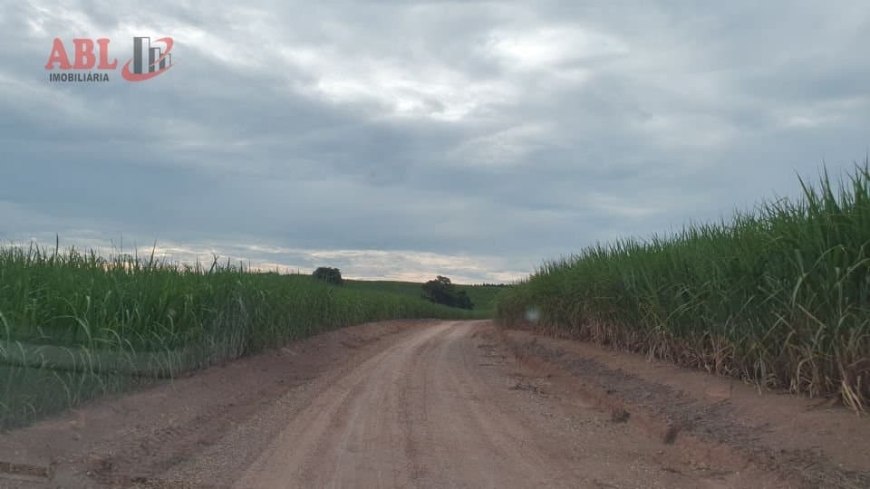 Fazenda Lavoura para Venda em Centro Piracicaba-SP