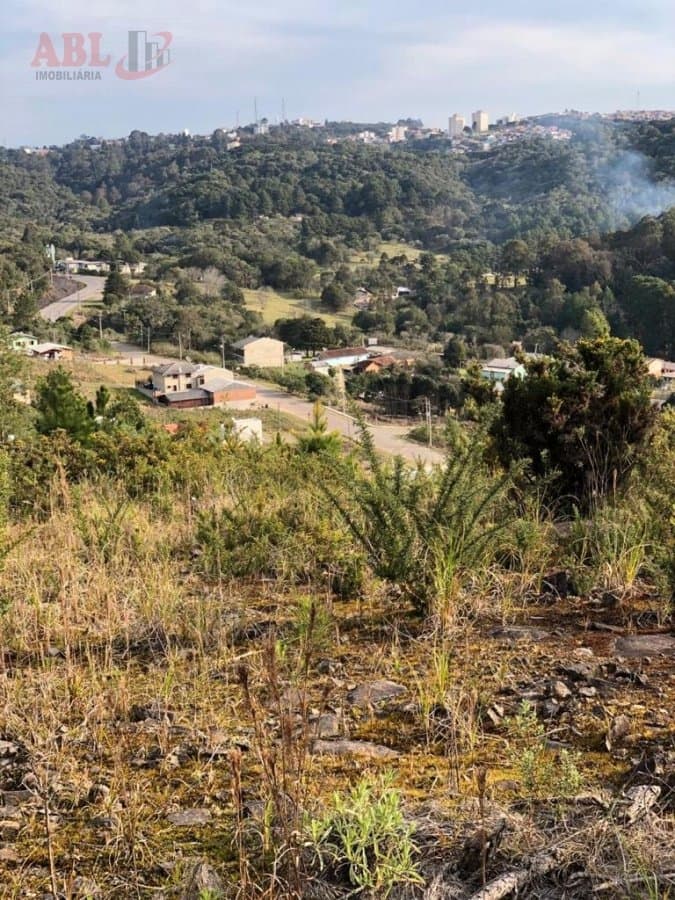 Terreno Lote para Venda em Ana Rech Caxias do Sul-RS
