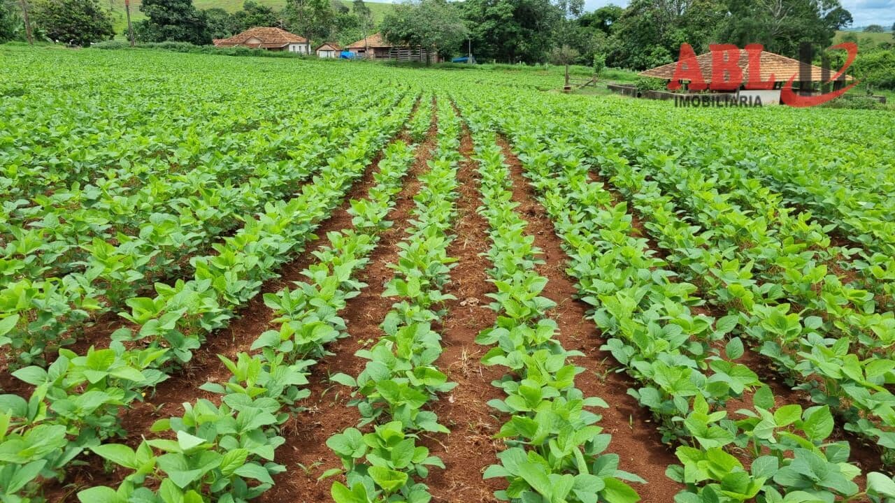 Fazenda/Sítios/Chácaras em Patos de Minas - Centro
