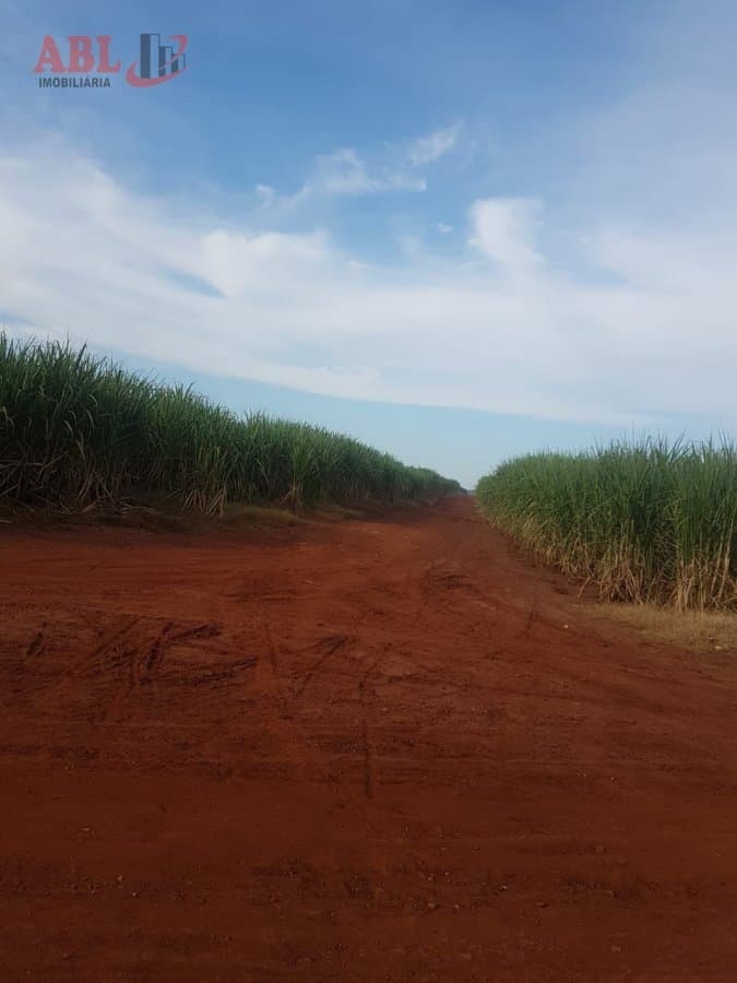 Fazenda Lavoura para Venda em Centro Campinas-SP