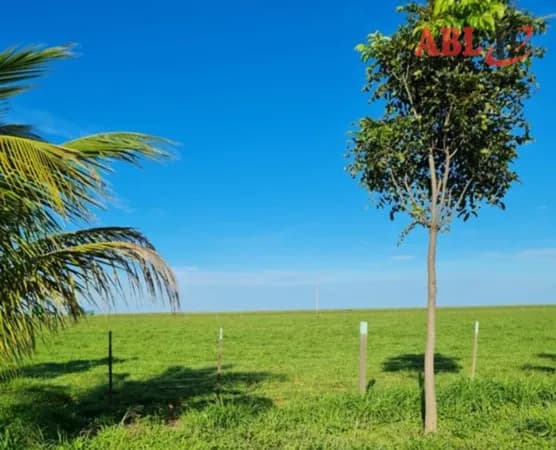 Fazenda/Sítios/Chácaras em Lizarda - Centro
