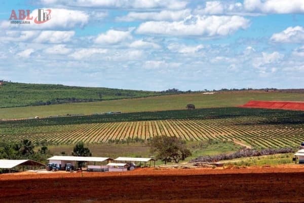 Fazenda para Venda em Centro Augusto de Lima-MG