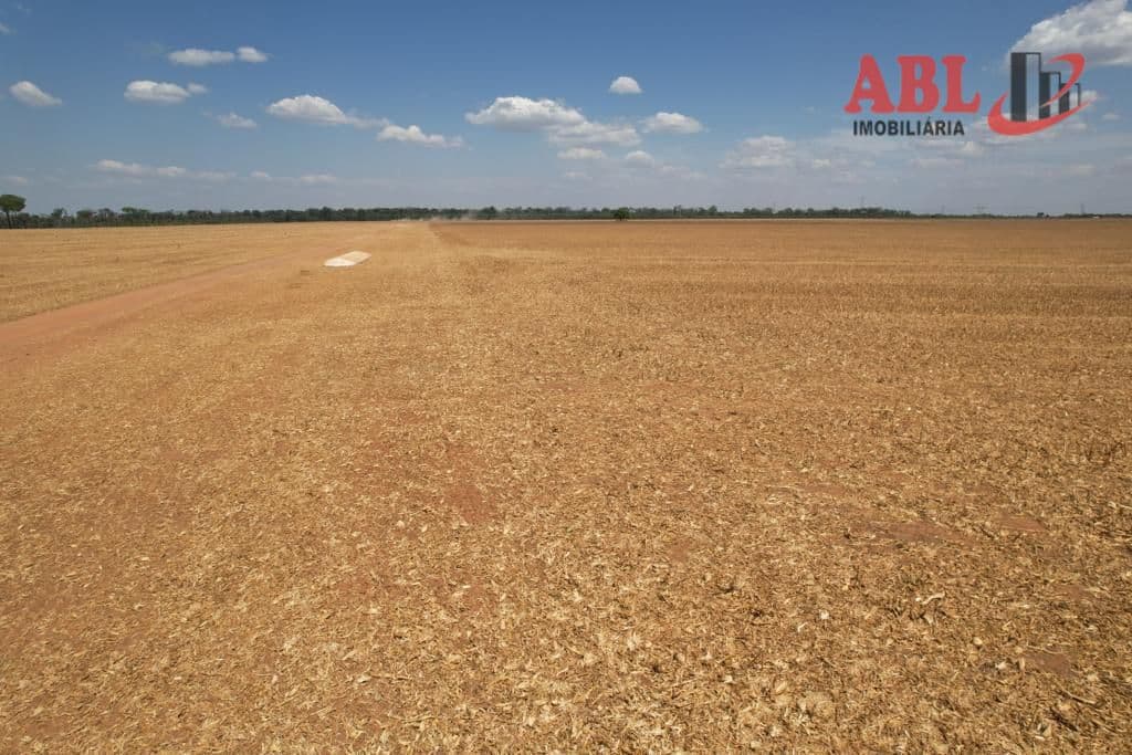 Fazenda/Sítios/Chácaras em Sinop - Área Rural de Sinop