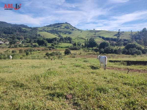 Terreno para Venda em Centro Cambuí-MG