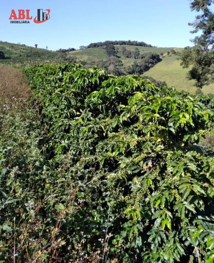 Fazenda para Venda em Centro São Gonçalo do Sapucaí-MG