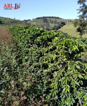Fazenda para Venda em Centro São Gonçalo do Sapucaí-MG