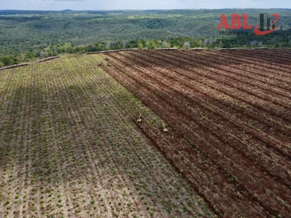 Fazenda/Sítios/Chácaras em Araguaína - Setor Central