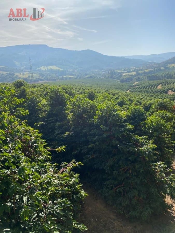 Fazenda Lavoura para Venda em Centro Boa Esperança-MG