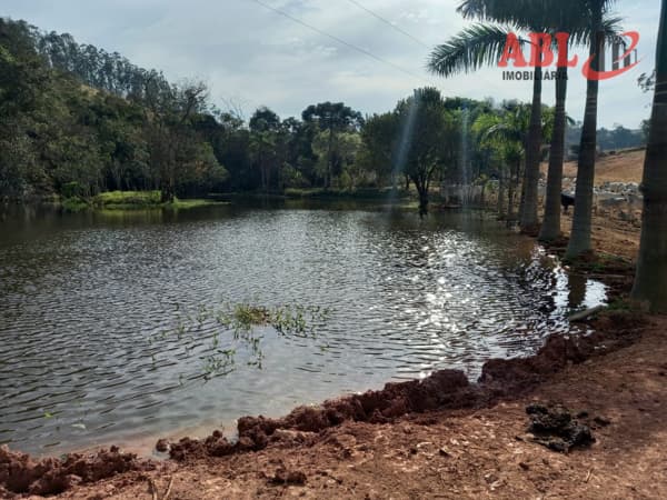 Fazenda com 50 alqueires