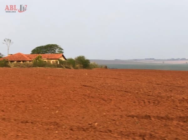 Fazenda Lavoura para Venda em Centro Rancharia-SP
