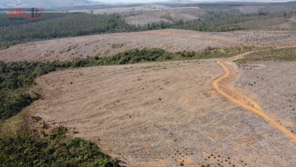 Fazenda Lavoura para Venda em Centro Andrelândia-MG