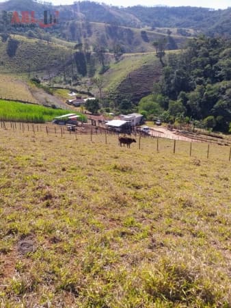 Sítio para Venda em Centro Cambuí-MG